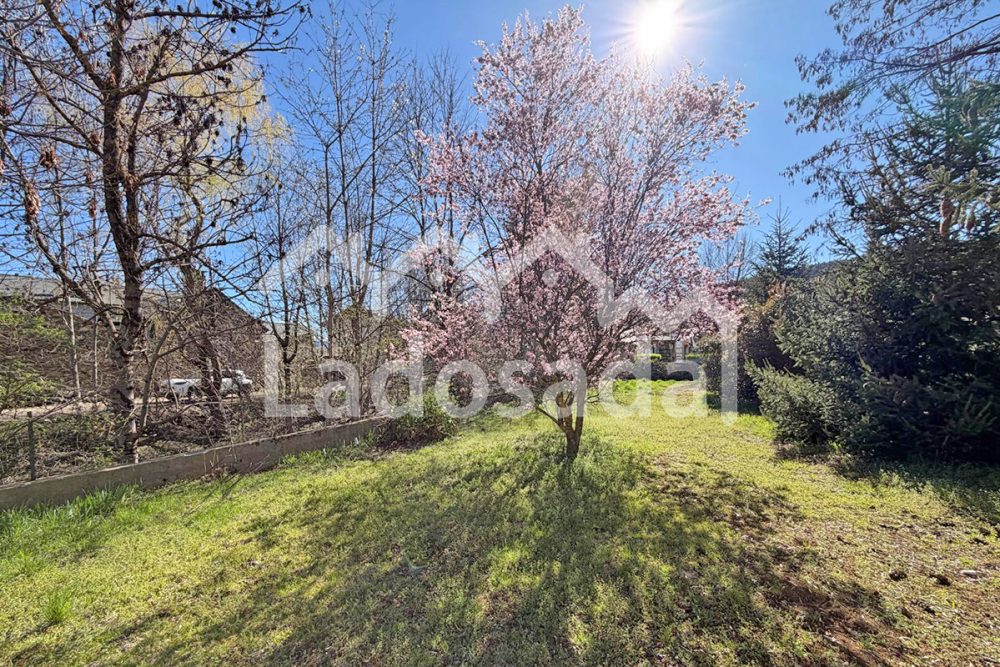 LA1972 – ESTAVAR (32)