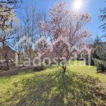 LA1972 – ESTAVAR (32)