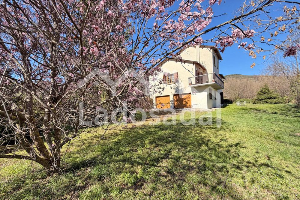 LA1972 – ESTAVAR (35)