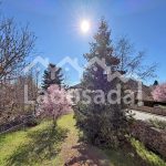 LA1972 – ESTAVAR (41)