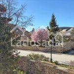 LA1972 – ESTAVAR (43)