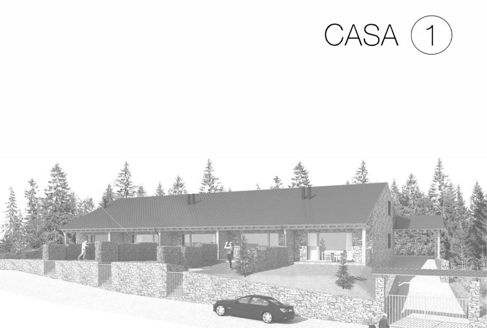 PROJECTE PEDRA-8